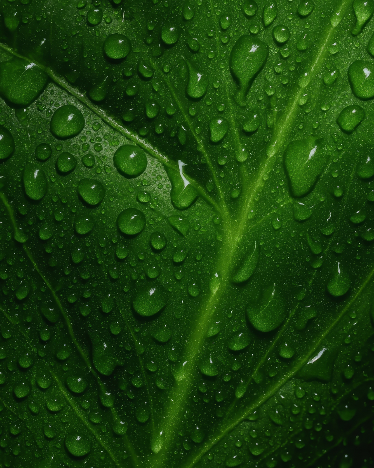 marie stella maris hand soap in objets d'amsterdam scent