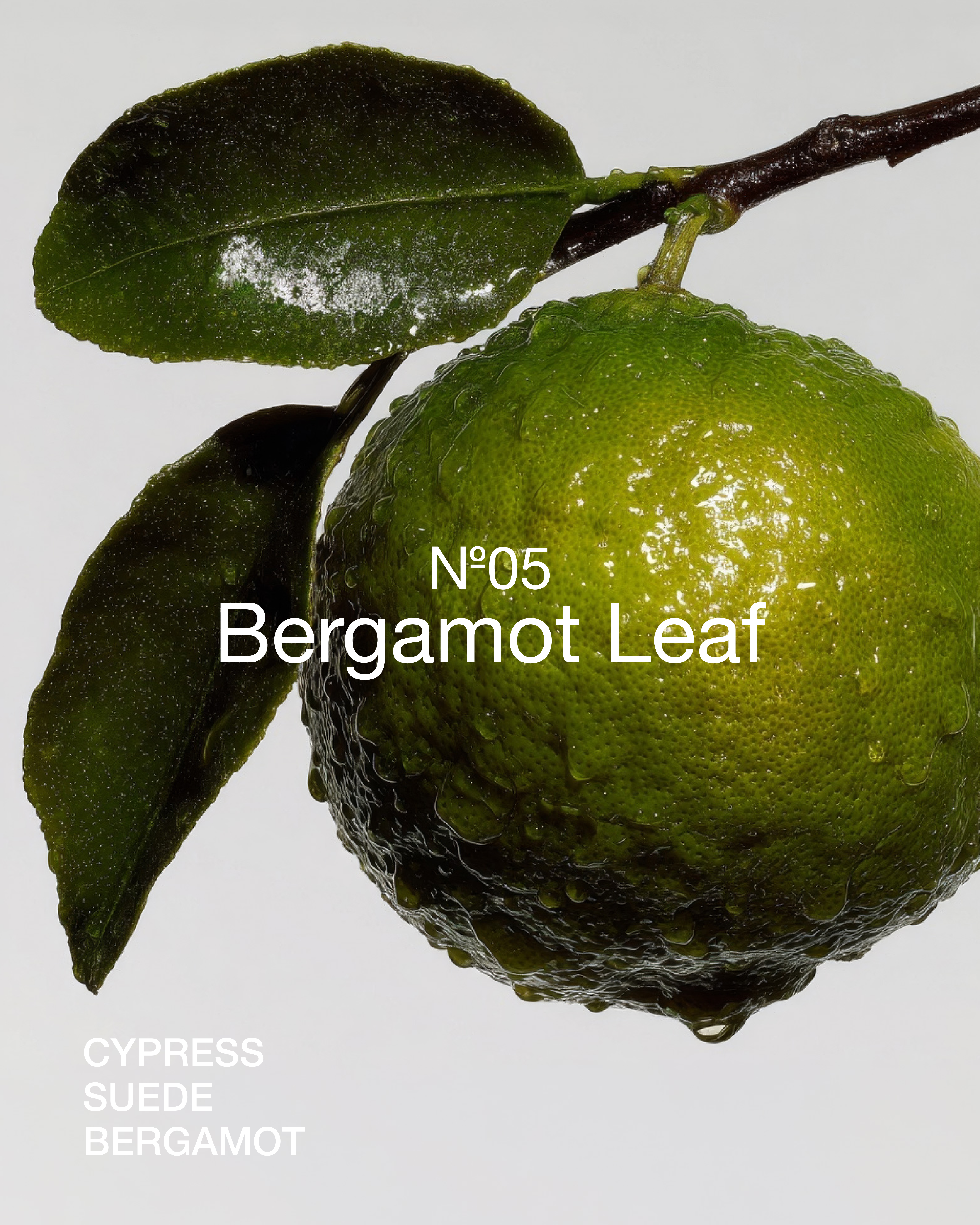 Marie-Stella-Maris No.05 Bergamot Leaf limited edition summer 2026 scent, featuring a close-up of a fresh bergamot fruit with leaves and water droplets dripping from its surface, alongside text highlighting key fragrance notes of cypress, suede, and bergamot.