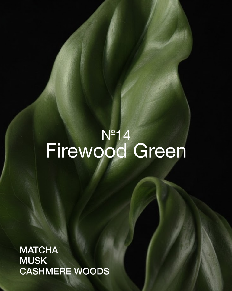 Flowing dark green leaves against a black background, representing Marie-Stella-Maris No. 14 Firewood Green with notes of matcha, musk and cashmere woods.