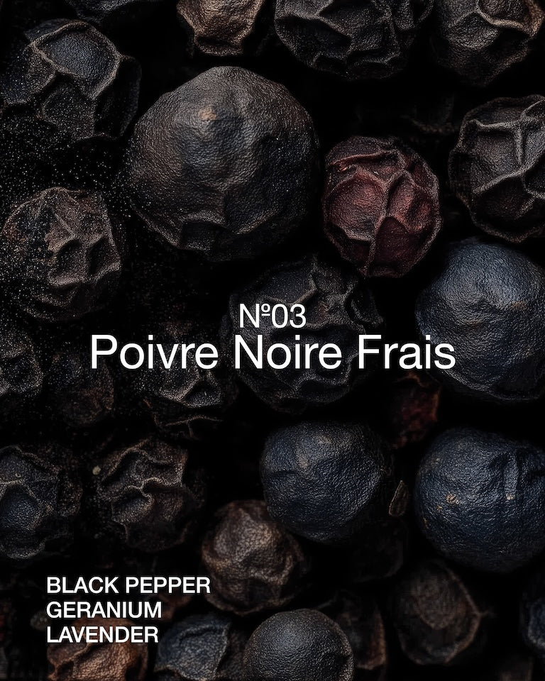 Conditioner Poivre Noir Frais 500 ml