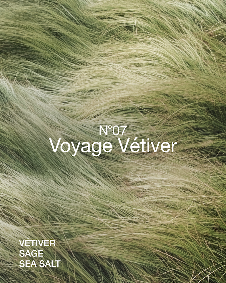 graphical image representing the voyage vetiver scent notes